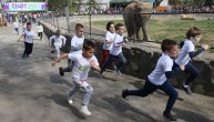 Najavljen Dečiji beogradski maraton u ZOO vrtu