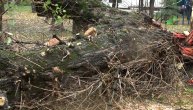 Nevreme i jaki udari vetra prave haos u Srbiji: Ekipa Telegrafa u najugroženijem području