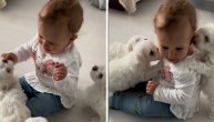 Lepota u 30 sekundi: Psi se tope pored bebe, ona se smeje i uživa