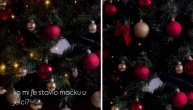 Žena Sergeja Trifunovića pokazala novogodišnju jelku i napravila pometnju među pratiocima