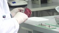Veterinari savetuju da se u svinjokolju pregleda meso