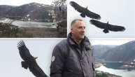 Ušli smo u carstvo džinovskih ptica u Srbiji: Beloglavi sup ugrožena vrsta Srbije