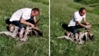 Hrabri Žarko spasao beloglavog supa sigurne smrti: "Bio je upleten u žicu, iznemogao i iscrpljen!"