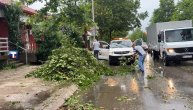 Jako nevreme u Nikšiću: Išučupano drveće, poplavljene ulice