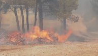 Požar na Atici i dalje besni: Drama u Grčkoj ne prestaje