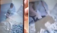 Uznemirujući snimak: Dvojica maloletnika bacaju psa u Dunav i snimaju za Instagram
