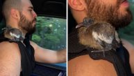 Adaktar pokazao novog, neobičnog ljubimca!