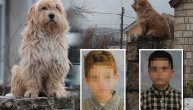 Snimak tera suze na oči: Pas na kiši sedi dok gleda dvorište kojim Jovan i Vukan nikad neće poroći