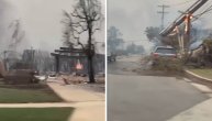 Jutro posle požara kod Los Anđelesa: Kuče spaljene do temelja