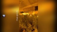Policija u Valjevu i Šapcu zaplenila veću količinu narkotika i uhapsila tri osobe