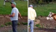 Video koji je nasmejao ceo region: Buco i krava za Nemačku