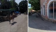 Zebra pobegla iz ZOO vrta