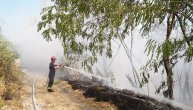Požar na Karaburmi, gori rastinje u blizini Pančevačkog mosta