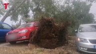 Iščupano drveće, uništeni automobili: Nevreme napravilo haos u prestonici