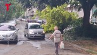 Oluja čupala drvo iz korena: Posledice nevremena na Novom Beogradu