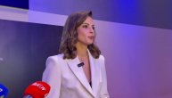 Nevena Nerandžić o saradnji sa Anicom Dobrom