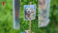 Na mestu gde je poginuo pas Džeki komšije ostavljaju cveće