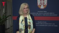 Sanja Marinković, profesor