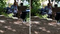 Paparaco! Zdravko Čolić pobegao iz Beograda na Dunav