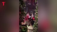 Bogdan Bogdanović i Nikola Jović u provodu