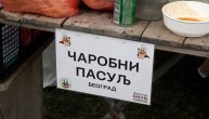 Probali smo čarobni pasulj