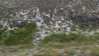 Zlatibor - led uz put