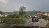 Jako nevreme poharalo Kokin Brod, iskrceno drvece