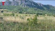 Ovo je kuća gde se dogodilo ubistvo i samoubistvo kod Bora