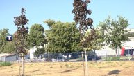 JKP "Vodovod i kanalizacija" u Novom Sadu