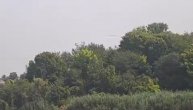 Helikopteri uzimaju vodu iz Deliblatskog jezera
