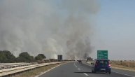 Požar između Novih Banovaca i Batajnice: Vatra se brzo šiti, dim došao do auto-puta