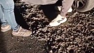 Pogledajte snimak hapšenja u Novom Sadu